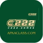 C222 Game